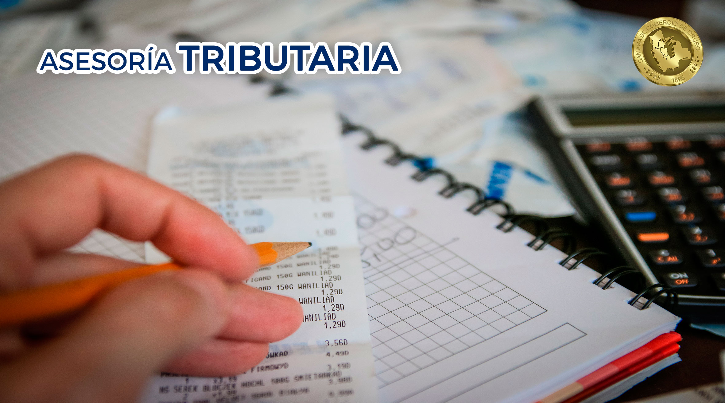 Asesor&iacute;a Tributaria